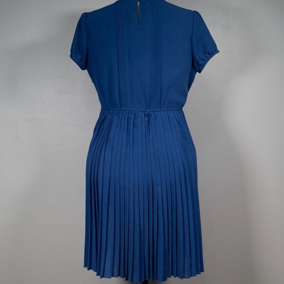 Chadwicks Collection Petite Periwinkle Fit and Flare Pleated Dress - Picture 4 of 6